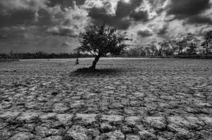 サンダーバンズの森の奥、シャムナガール、サトヒーラ。