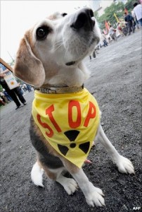 核STOP犬